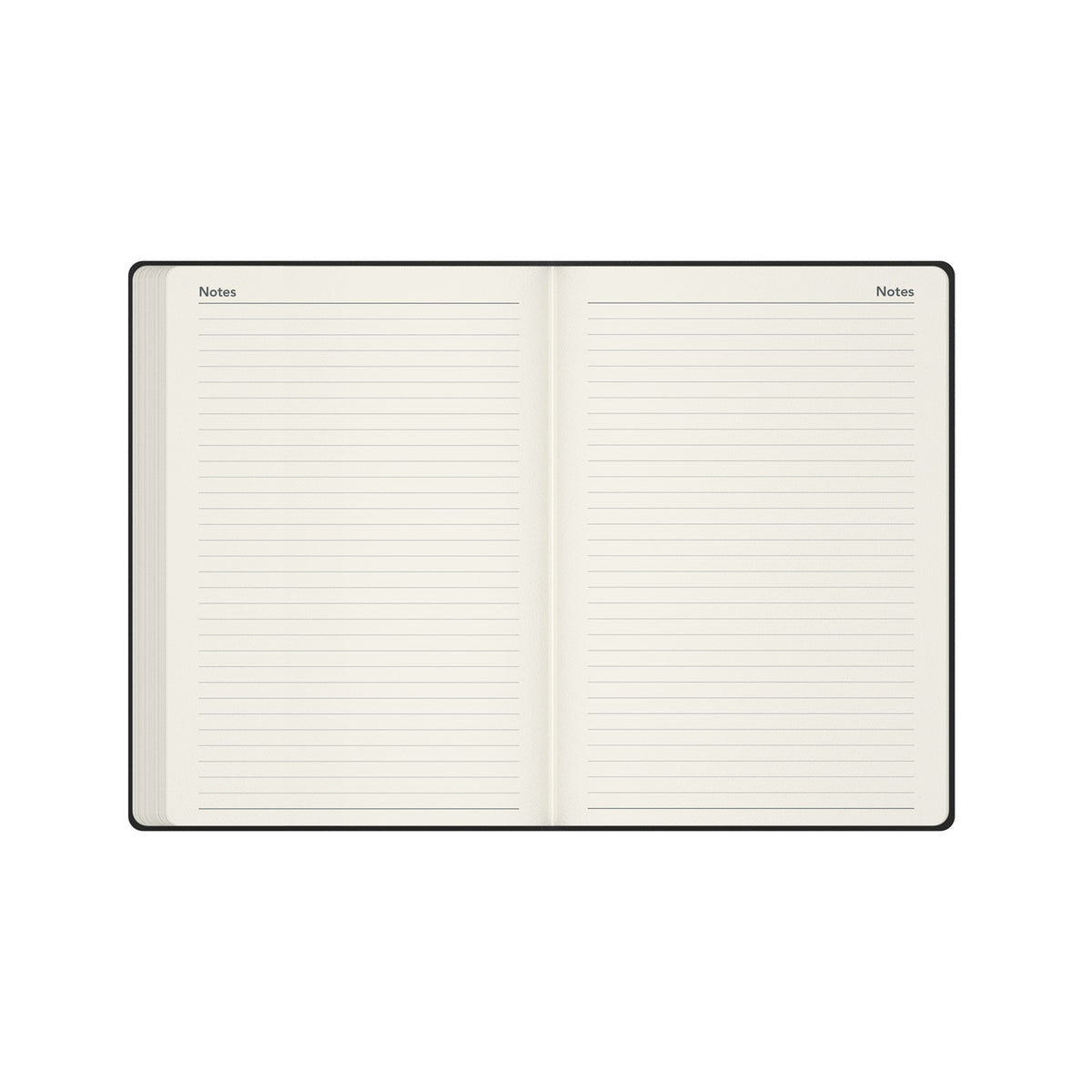Legacy - 2026 Daily Planner - A5 Day-to-Page Diary with Appointments  (CL51-26)