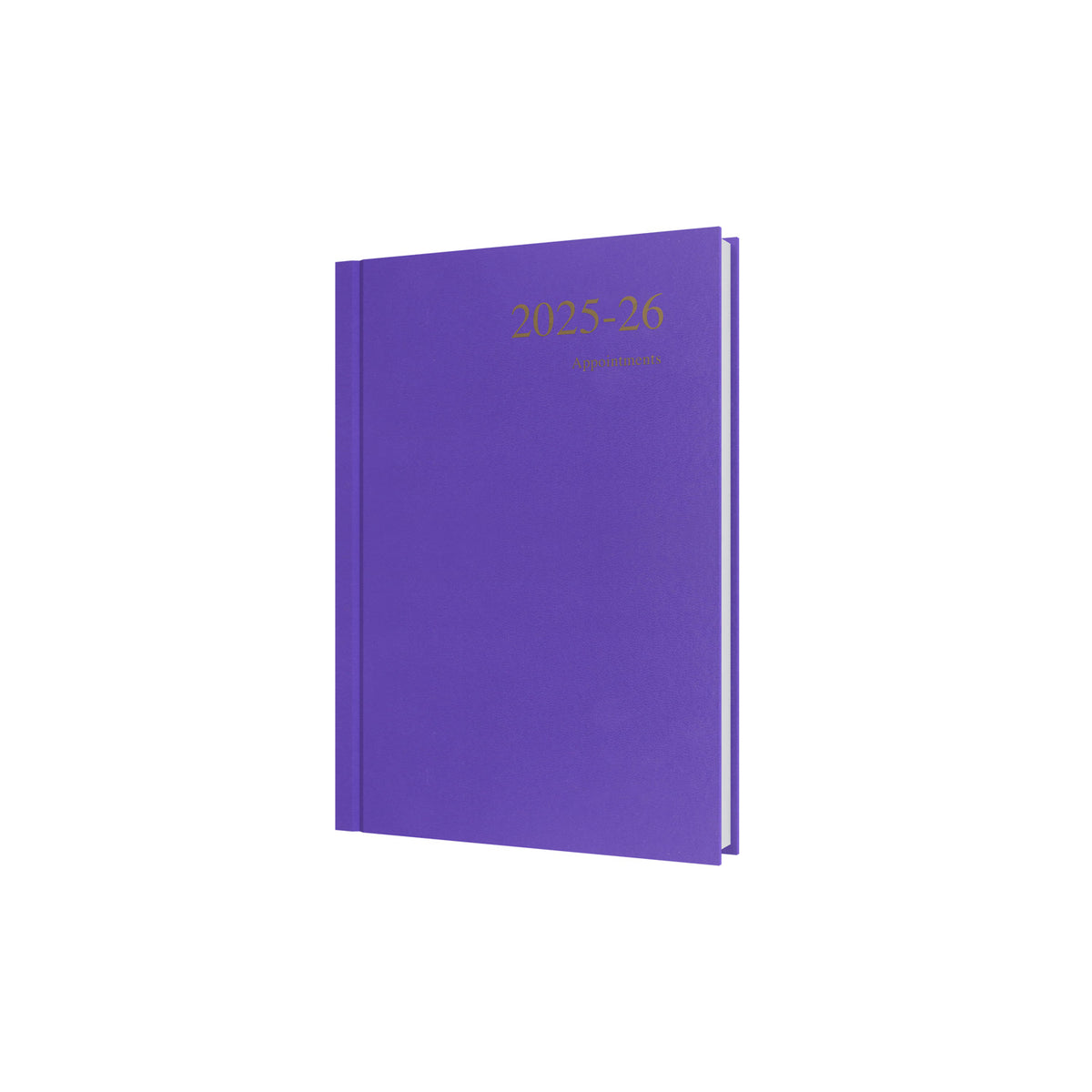 Essentials - A5 Day-to-Page with Appointments Mid/Academic Year Diary Planner, July 2025 - July 2026