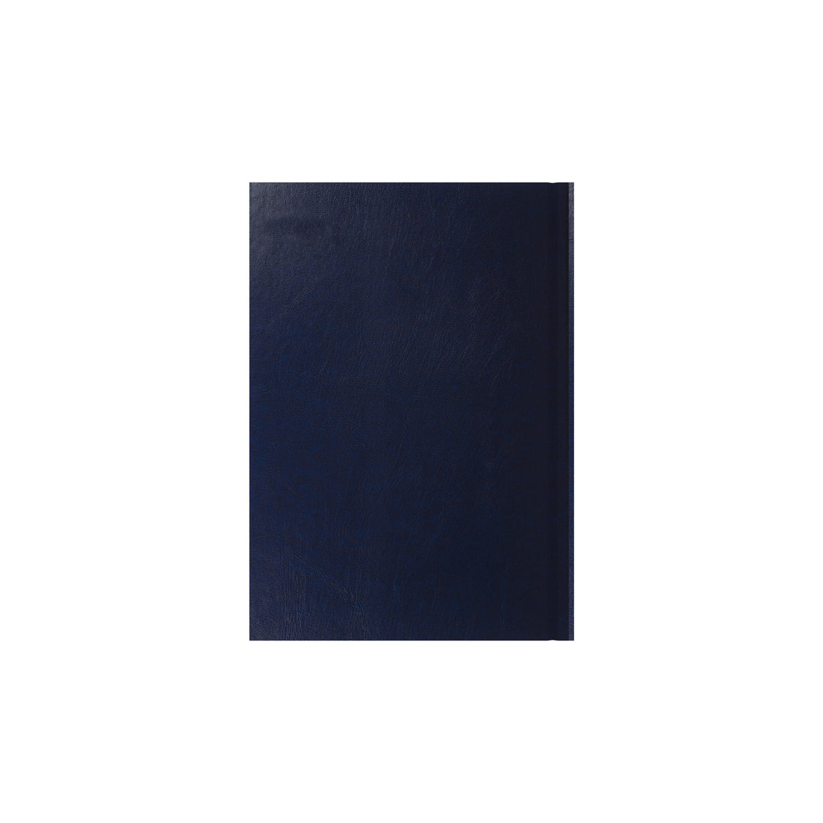 Essentials - A5 Day-to-Page with Appointments Mid/Academic Year Diary Planner, July 2025 - July 2026